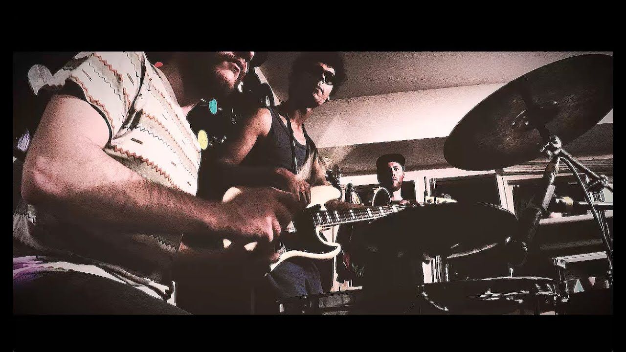 Animanz performing live