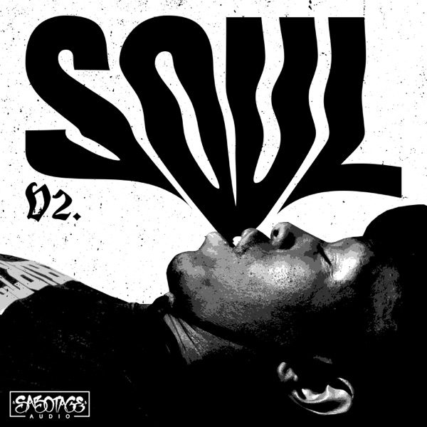 Cover of HybridMp's Soul V2